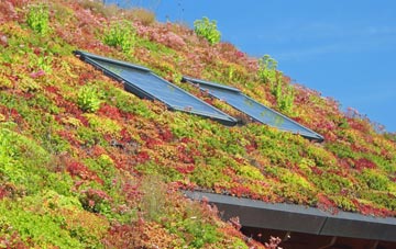 Four Roads living roof systems